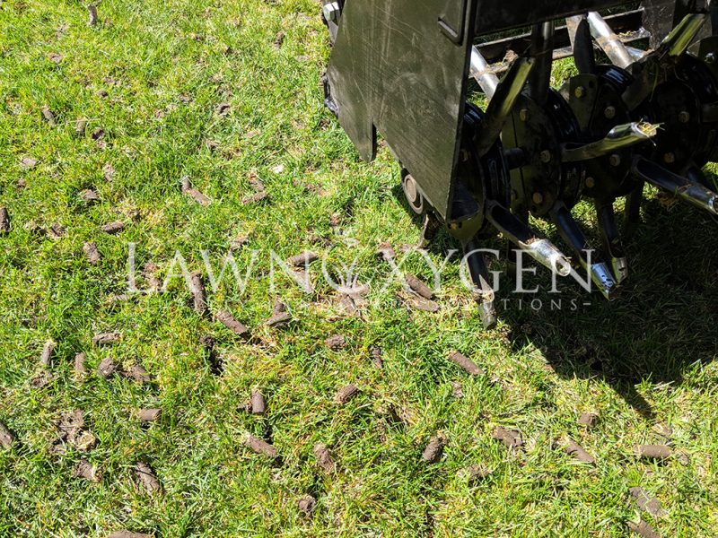 Commercial Lawn Aeration Tool Being Used In Ankeny IA