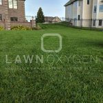Lawn Care Program Ankeny IA