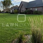 Lawn Treatment Services in Ankeny IA