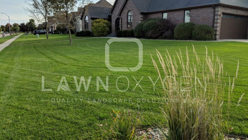 Lawn Treatment Services in Ankeny IA