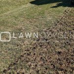 Aeration Services in Ankeny IA