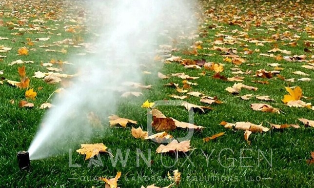 sprinkler blowout Ankeny, IA