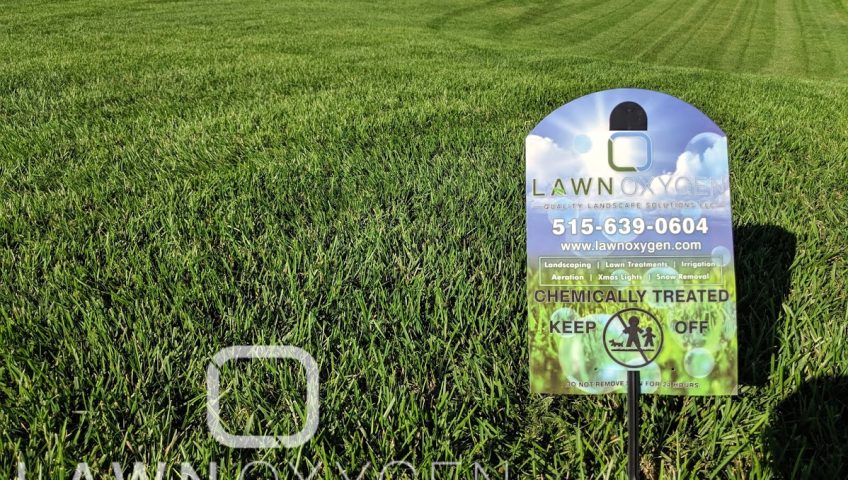 Weed Control Ankeny